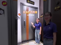 ShengW yeni ürün alüminyum kapı